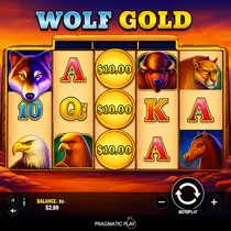 Afkspin - Wolf Gold Slot Game - Pragmatic Play